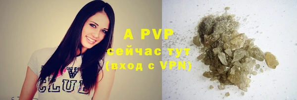 спиды Верея