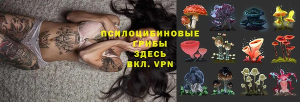 экстази Богородицк