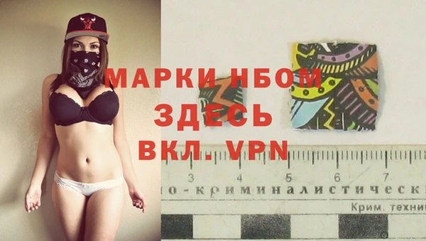 спиды Верея